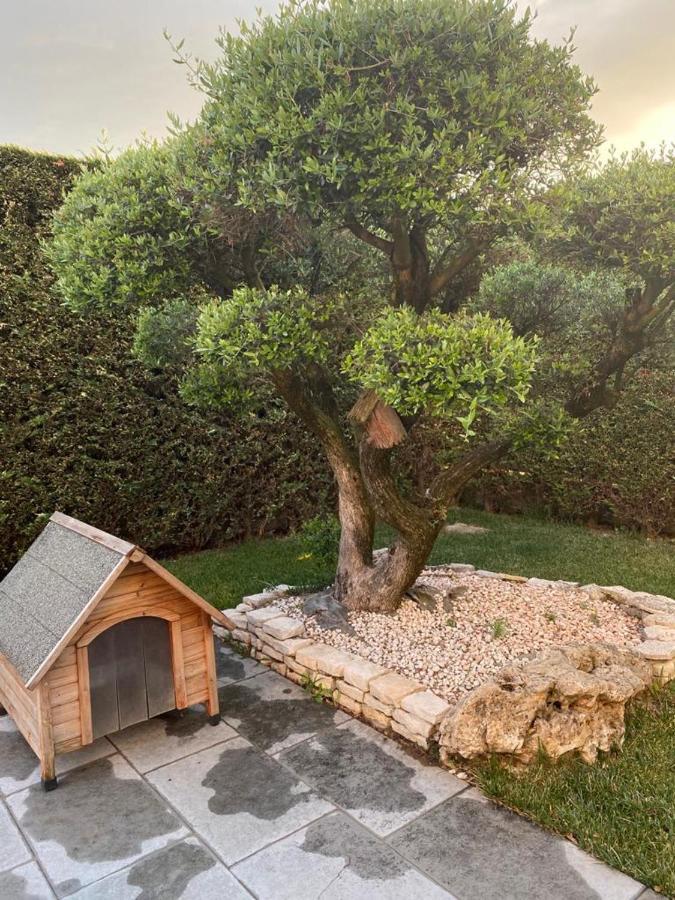 Wooden House Bed & Breakfast Montegrotto Terme Exterior foto